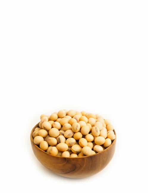 product17 free img